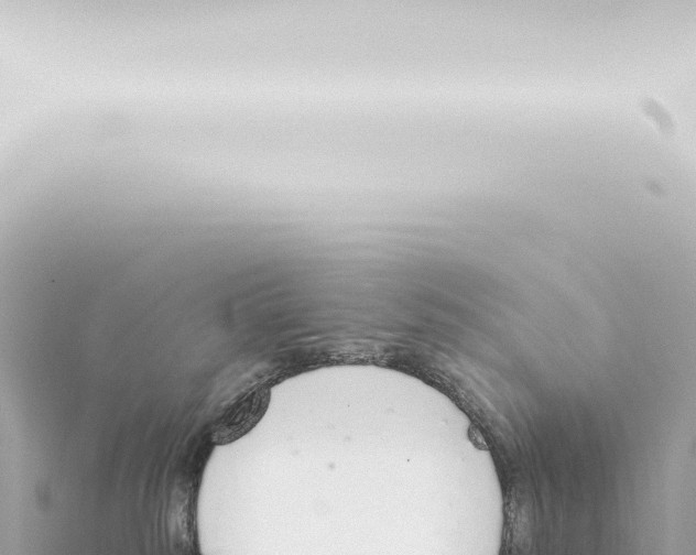 X0000115420185200912011254