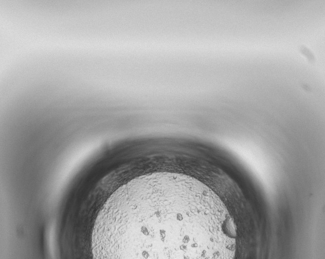 X0000115420189200912011254