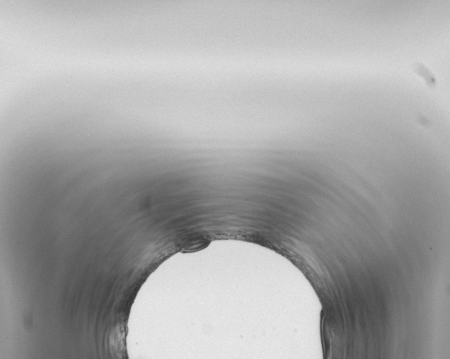 X0000115420190200912011254