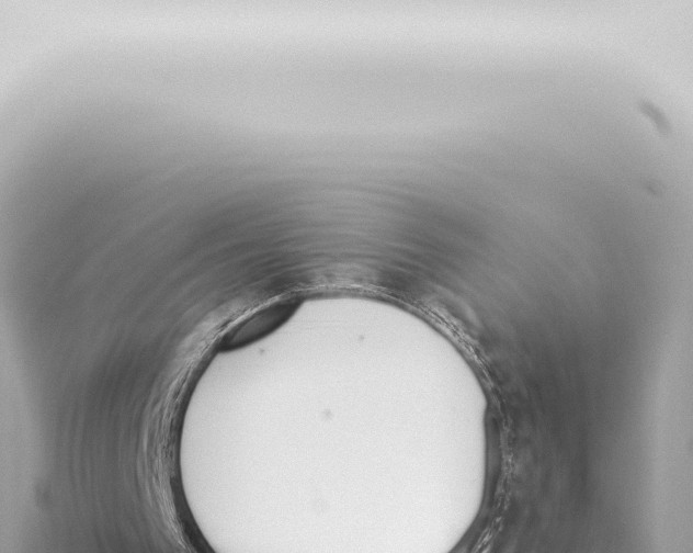 X0000115420193200912011253