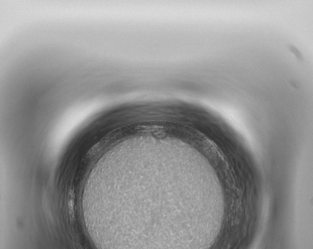 X0000115420194200912011253