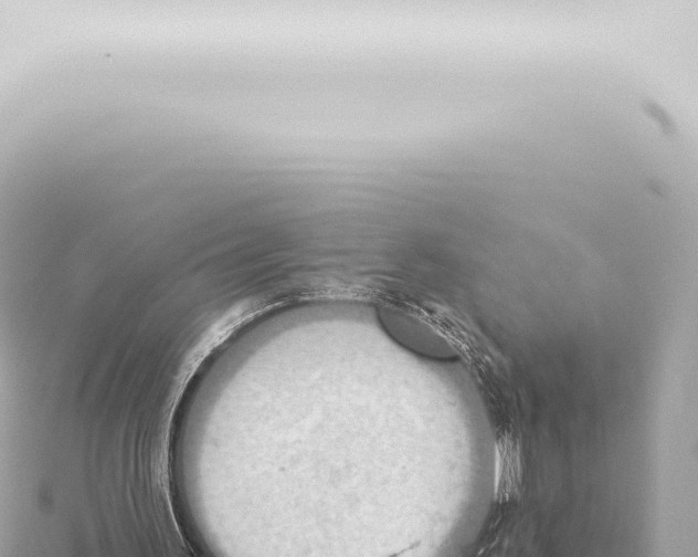 X0000115420195200912011253