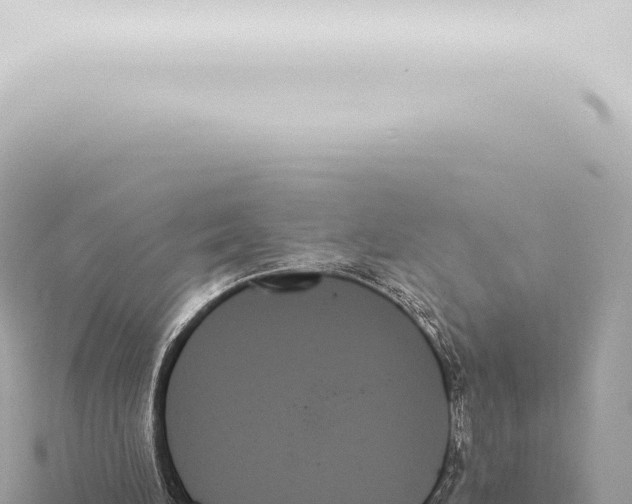 X0000115420196200912011253