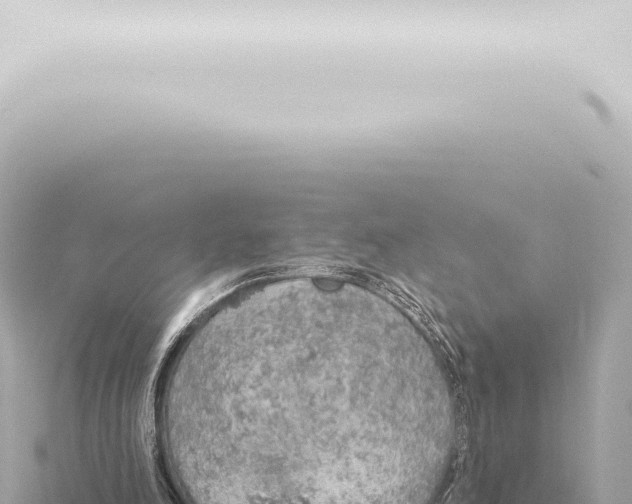 X0000115420198200912011253