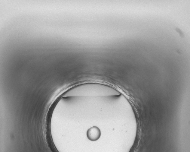 X0000115420199200912011253