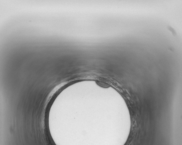 X0000115420200200912011253