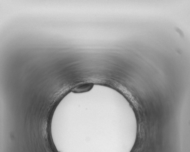 X0000115420201200912011253