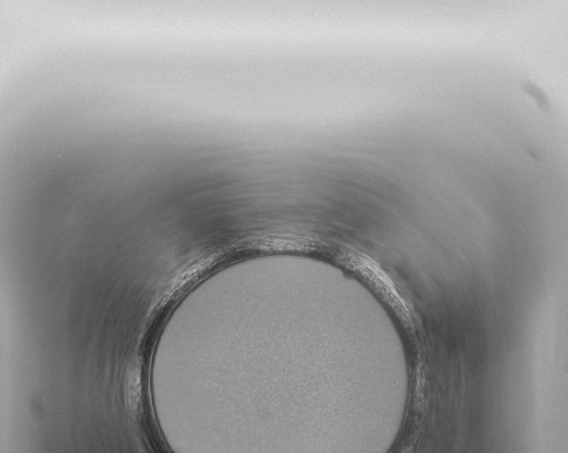 X0000115420202200912011253