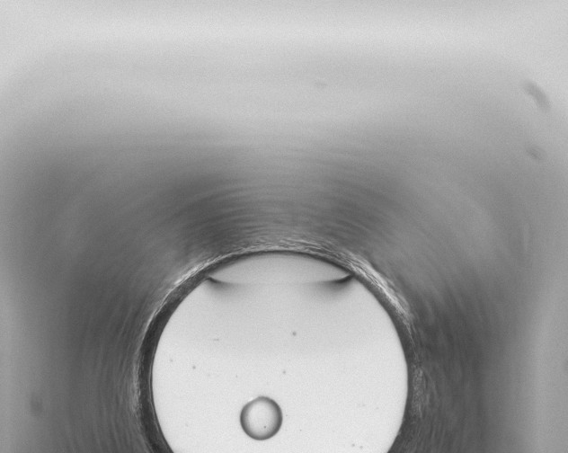 X0000115420203200912011253