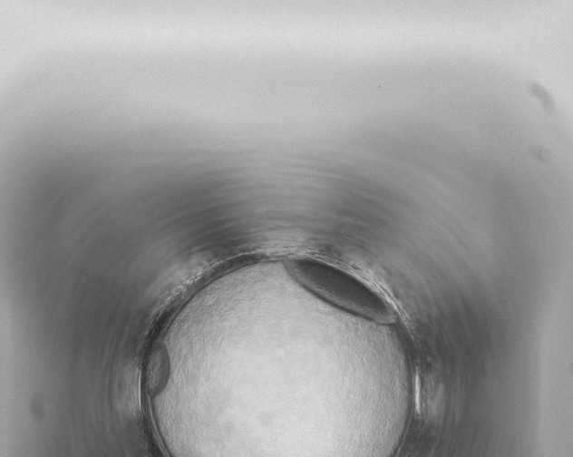 X0000115420205200912011253