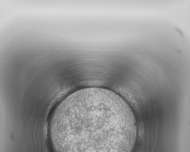 X0000115420206200912011253