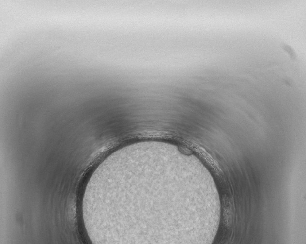 X0000115420207200912011253