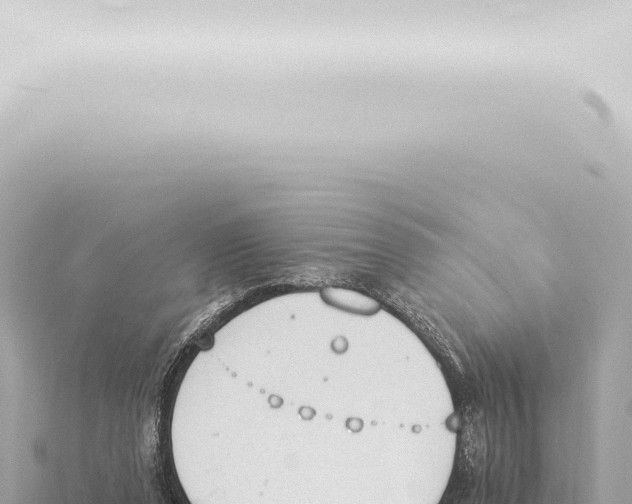 X0000115420208200912011253