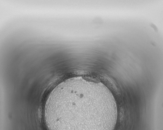 X0000115420210200912011253