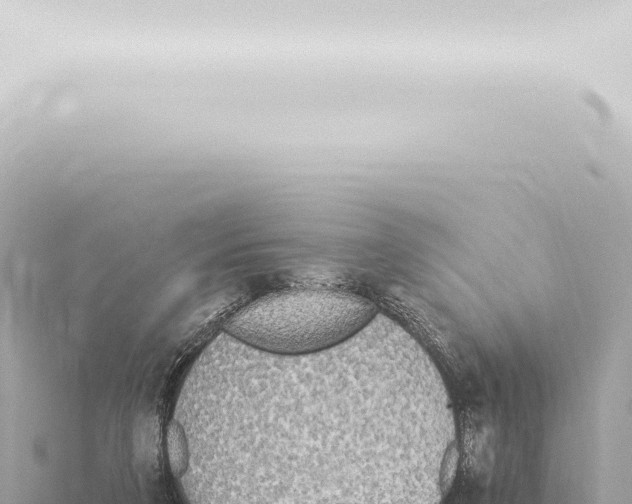 X0000115420211200912011253