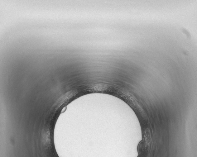 X0000115420212200912011253