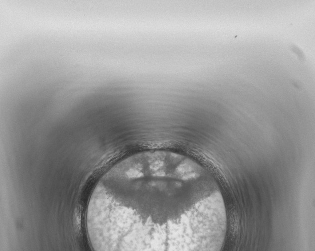 X0000115420214200912011253