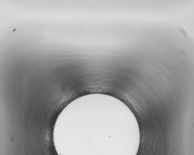 X0000115420215200912011253