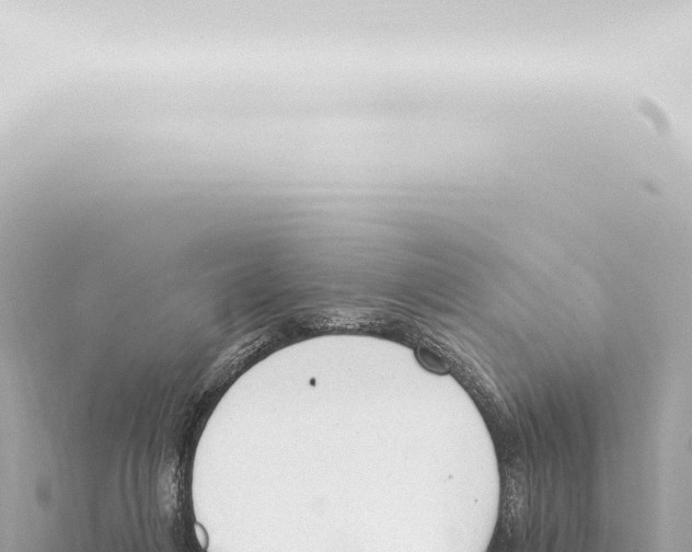 X0000115420216200912011253