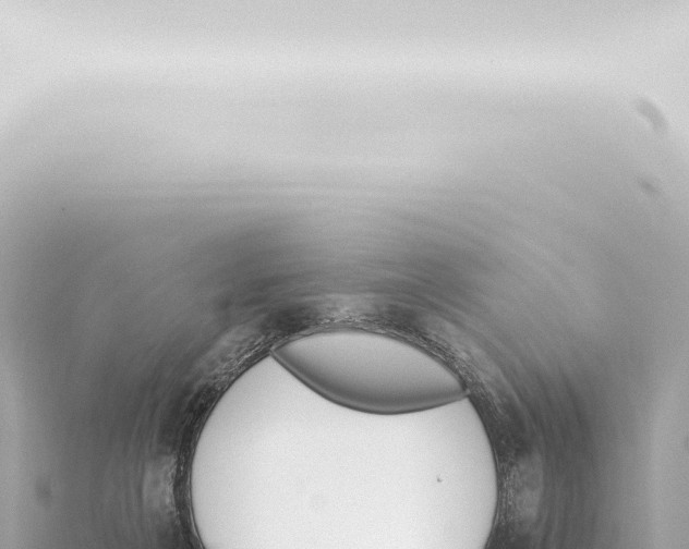 X0000115420217200912011253