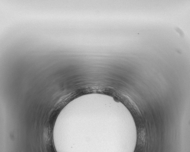 X0000115420218200912011253