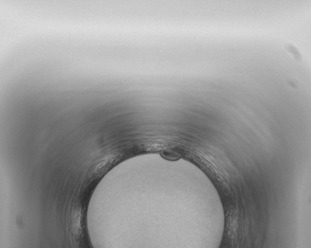 X0000115420219200912011253