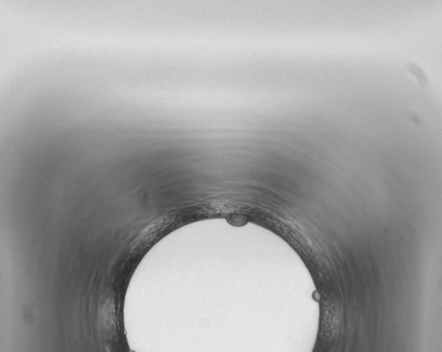 X0000115420220200912011253