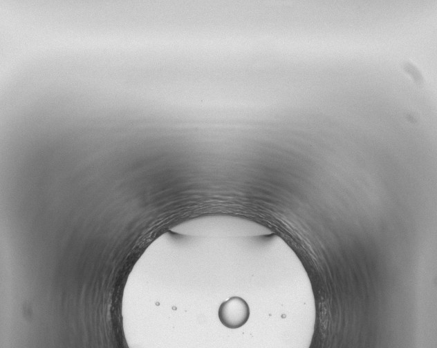 X0000115420221200912011253