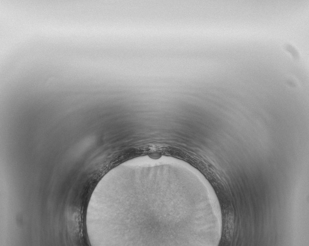 X0000115420222200912011253