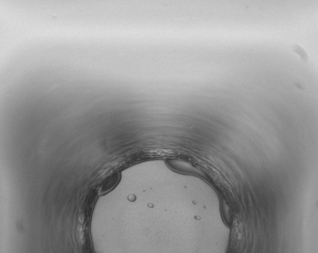 X0000115420223200912011253