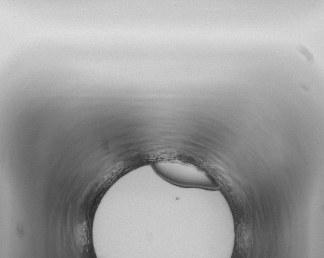 X0000115420224200912011253