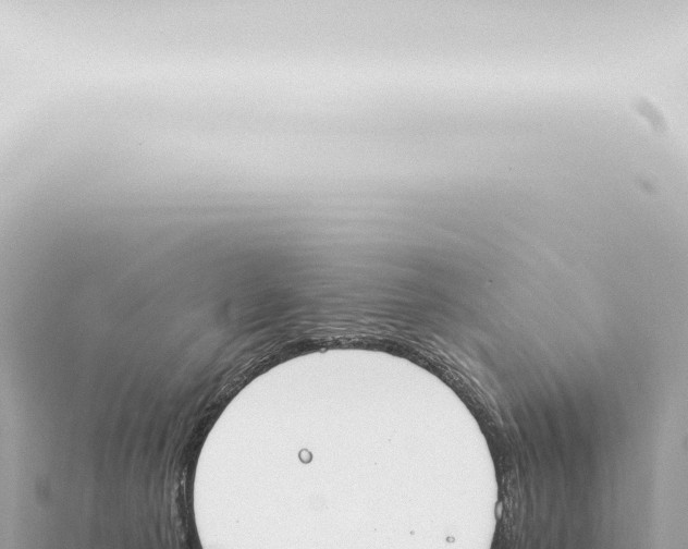 X0000115420225200912011253