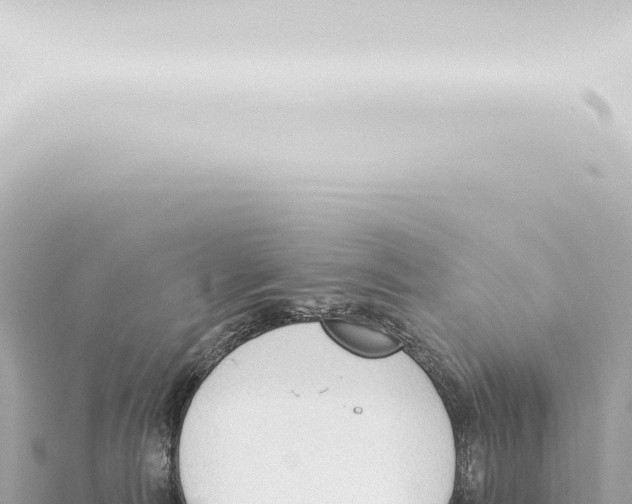 X0000115420226200912011253