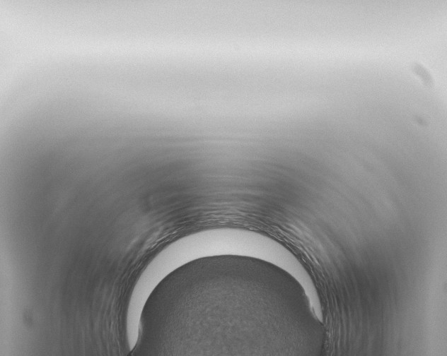 X0000115420227200912011253