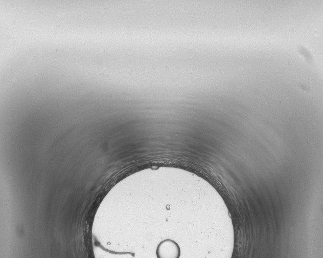 X0000115420229200912011253