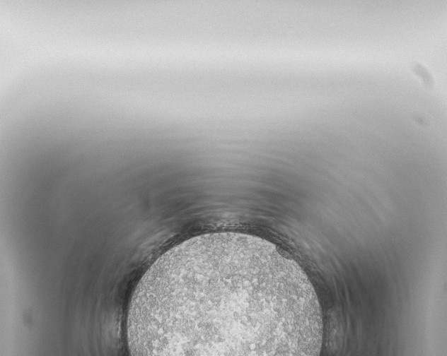 X0000115420230200912011253