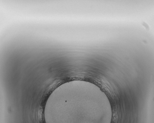 X0000115420231200912011253