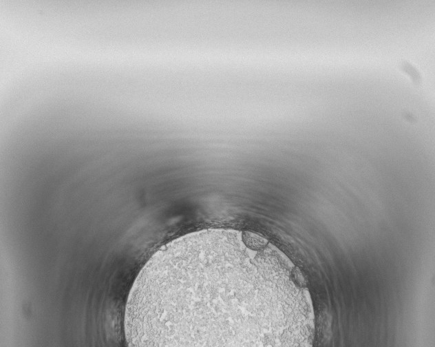 X0000115420234200912011252