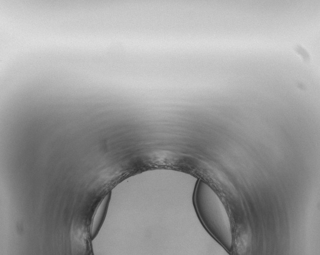 X0000115420235200912011252