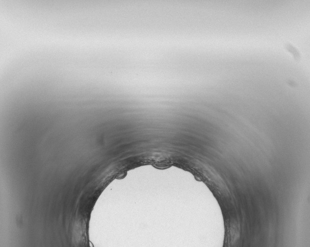 X0000115420236200912011252