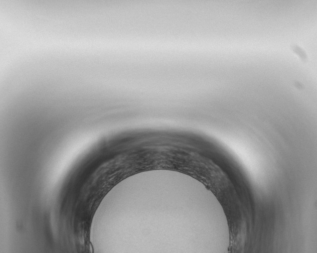 X0000115420239200912011252