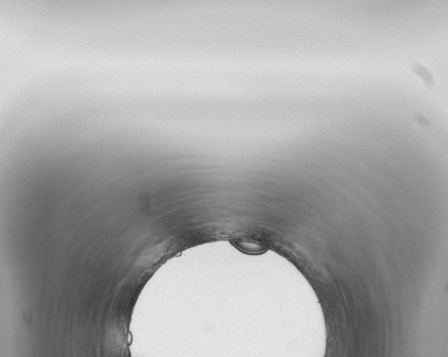 X0000115420240200912011252