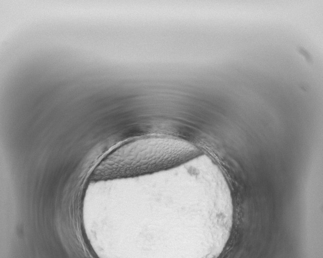 X0000115420241200912011252