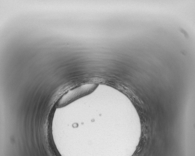 X0000115420242200912011252