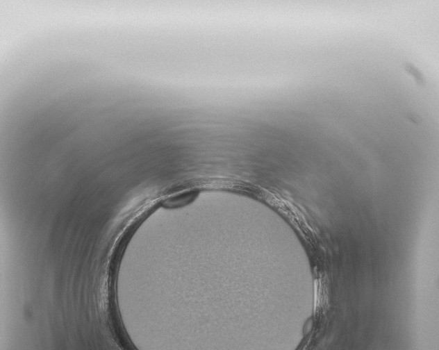 X0000115420243200912011252