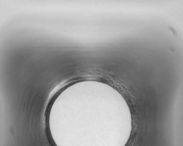 X0000115420246200912011252