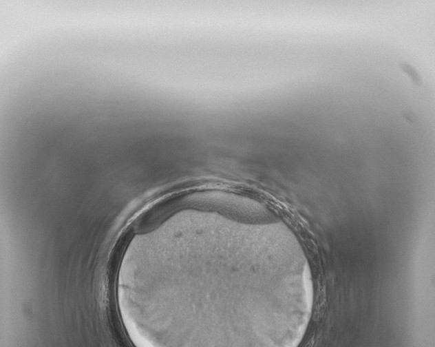 X0000115420247200912011252