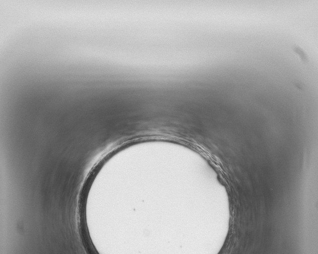 X0000115420248200912011252