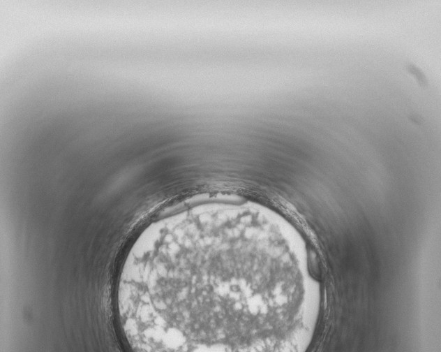 X0000115420249200912011252