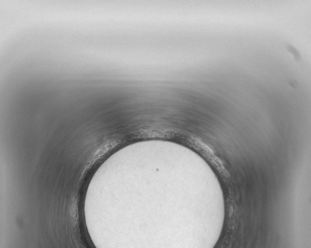 X0000115420250200912011252